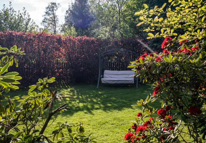 Sichtschutz für den Garten: Diese Möglichkeiten gibt es